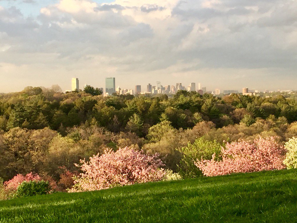 ON IMMIGRANTS & REFUGEES: Essay Contest – Writers’ Room of Boston Immigrant Voices