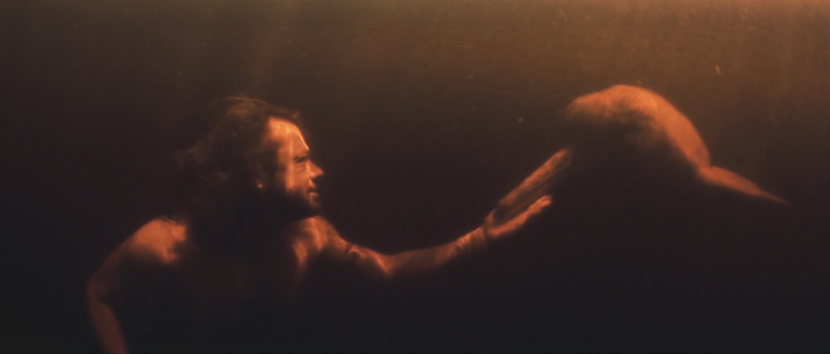 ON MEDIA: Sheffield International Documentary Film Festival