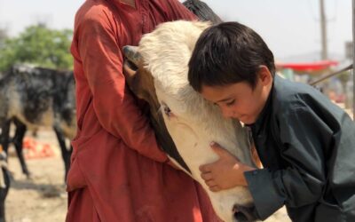 Hasibullah, CSFilm filmmaker, featured in BBC/NPR radio report – “As long as Pakistan supports the Taliban the war here will continue.”