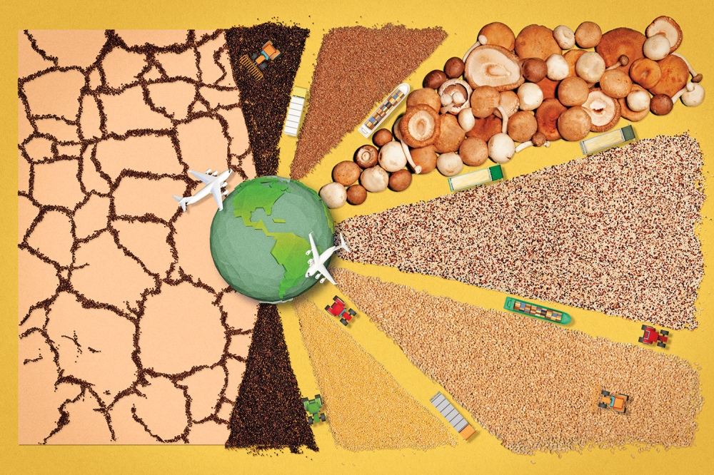 ON DEVELOPMENT | The Solution to the Global Food Crisis Isn’t More Food